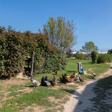 Apartamento Du Pagoulin - Coquelicots