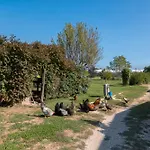 Du Pagoulin - Coquelicots * Hyères