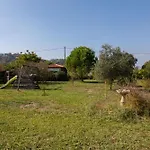 Du Pagoulin - Coquelicots * Hyères