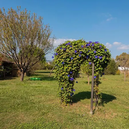 Du Pagoulin - Coquelicots Apartmán Hyères