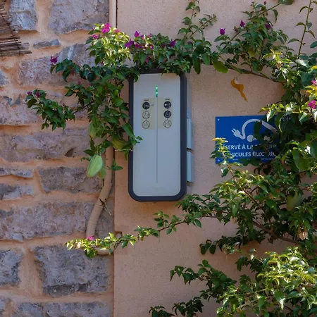 Du Pagoulin - Coquelicots * Hyères