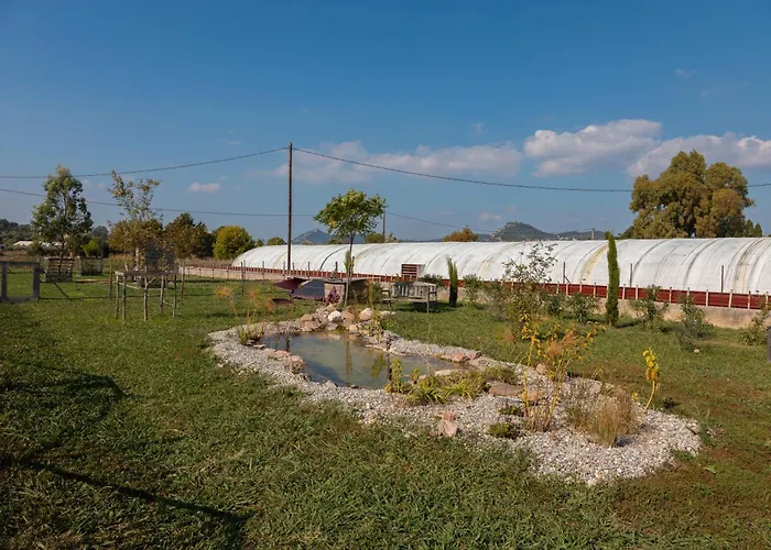 Du Pagoulin - Coquelicots * Hyeres